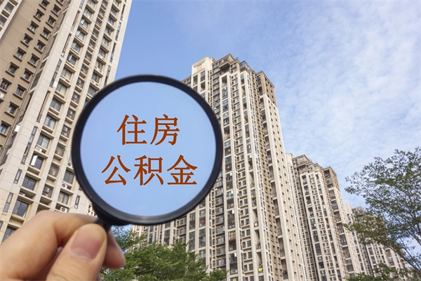 钟祥个人公积金去哪儿取（住房公积金个人到哪里提取）
